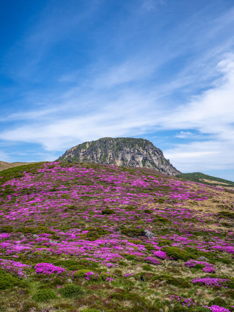 한라산