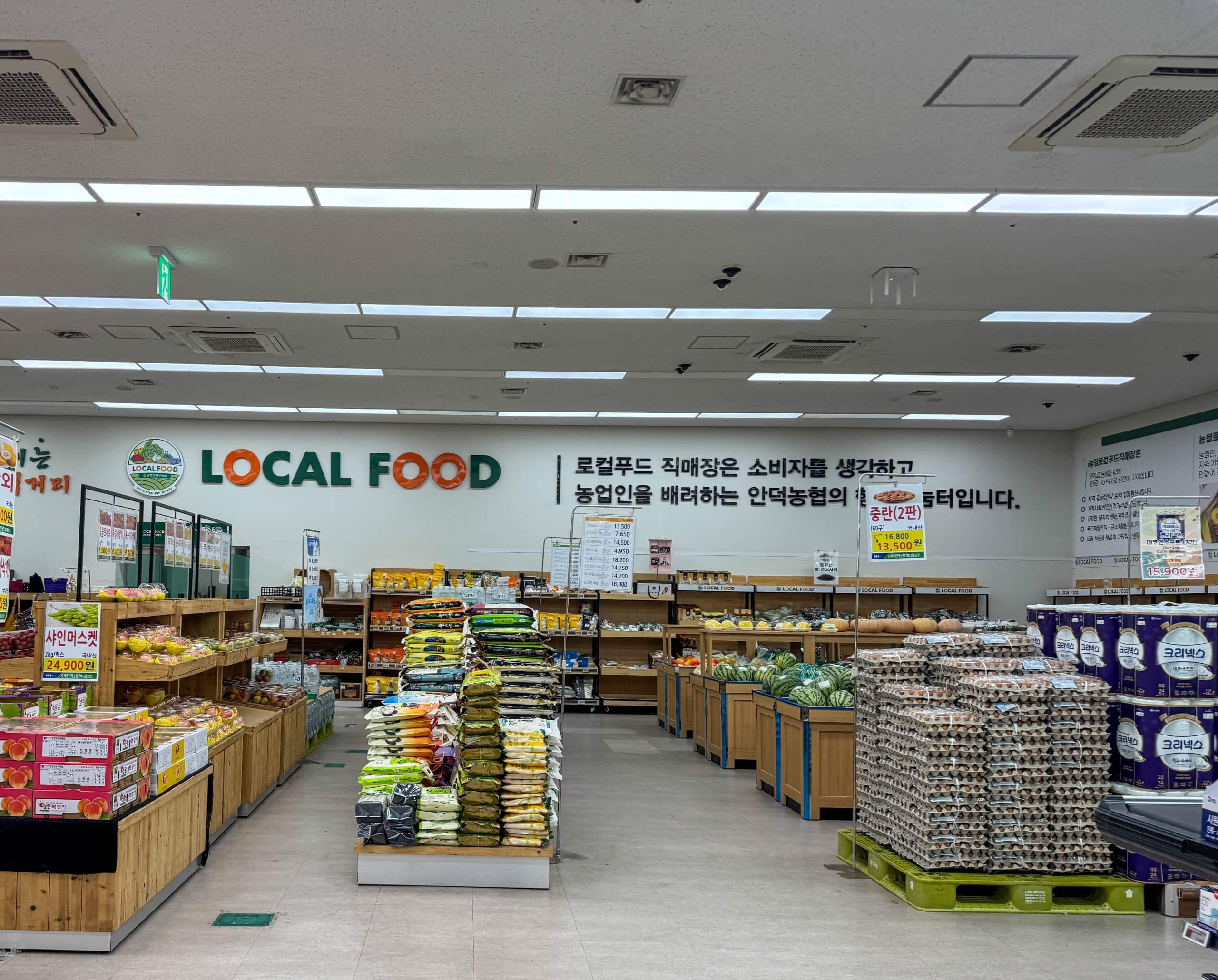 제주 안덕 하나로마트 농협 로컬푸드 직매장 내부 전경, 신선한 농산물이 진열된 모습