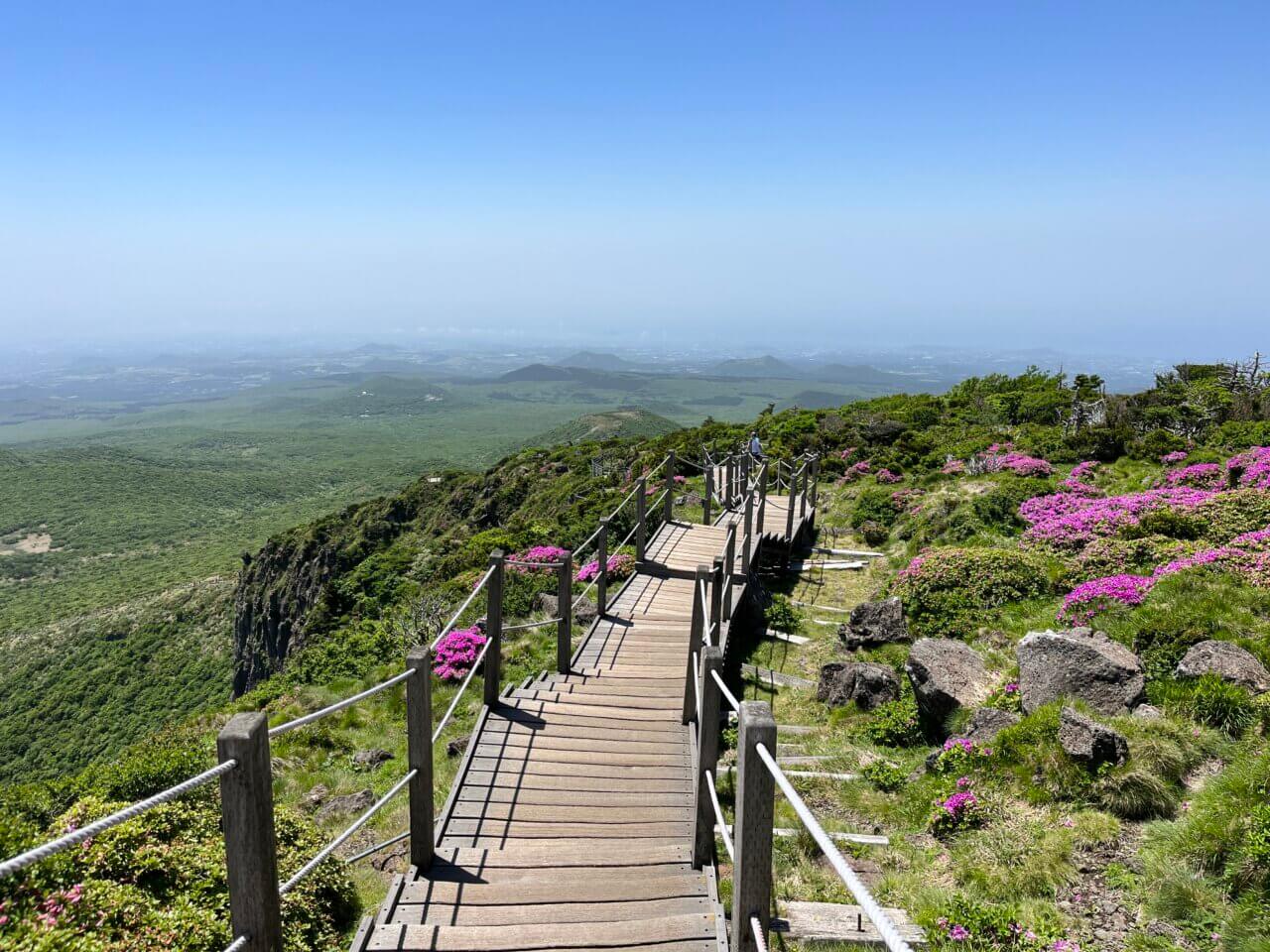 한라산 영실코스 철쭉 가이드 개화시기 등산정보